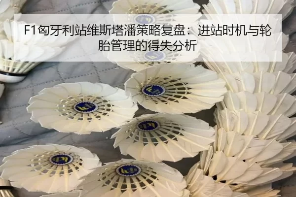 F1匈牙利站维斯塔潘策略复盘：进站时机与轮胎管理的得失分析