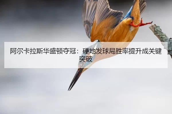 阿尔卡拉斯华盛顿夺冠：硬地发球局胜率提升成关键突破